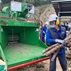 愉景灣設置碎木機,有助木材回收和升級再造